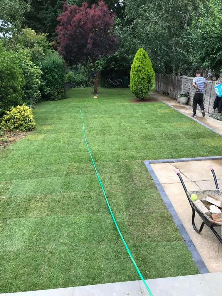 A yard with a lawn mower and a wheelbarrow.