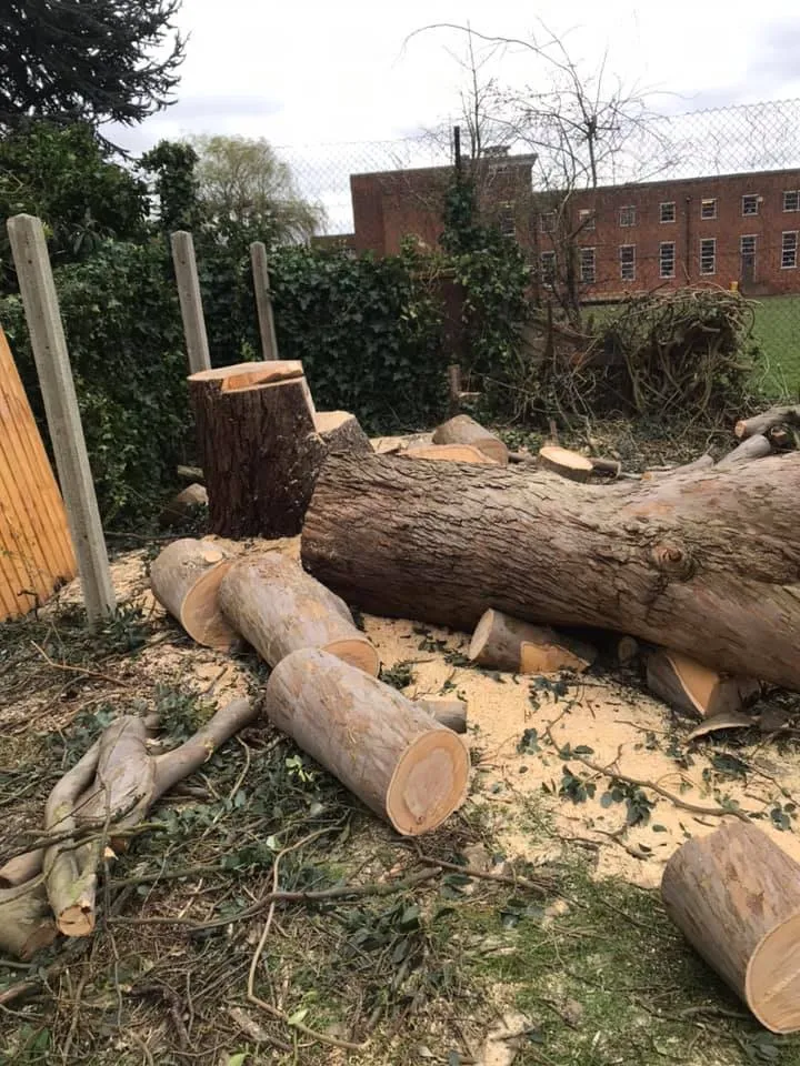 A pile of logs sitting in the middle of a yard.