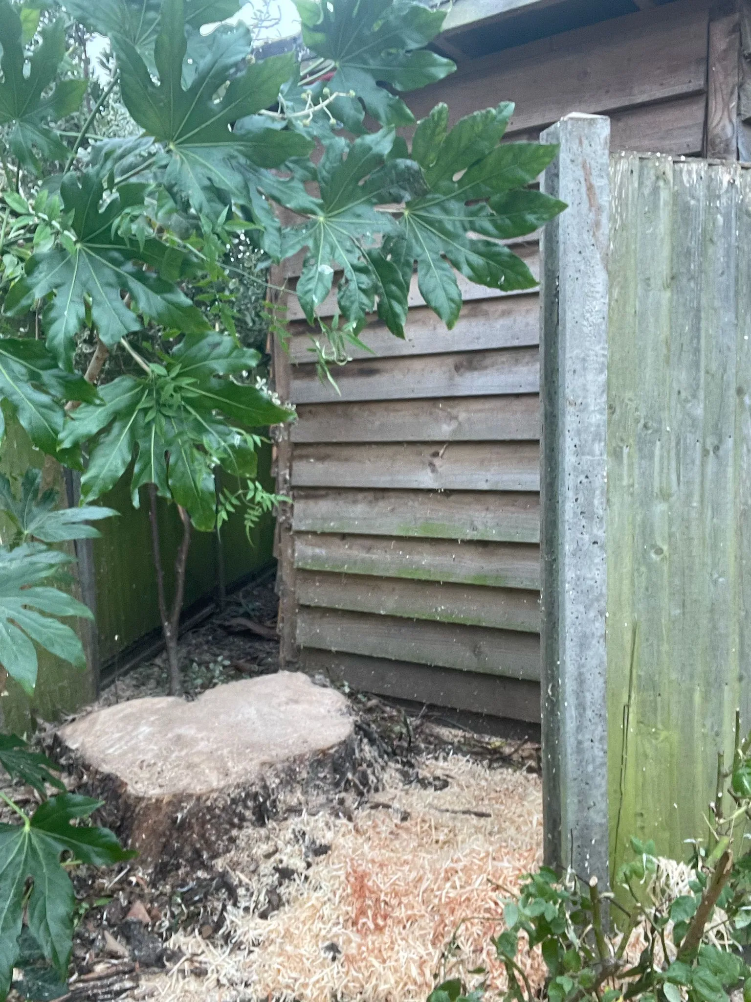 A wooden fence next to a tree and a building.
